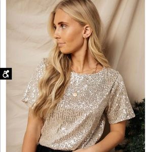 Silver Sequin Cecille top from Bohme size Small